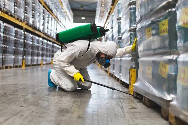 Stop Pests Early: Why They Target Your Attic Insulation