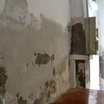 Get Professional Water Damage Restoration for Your Home Today