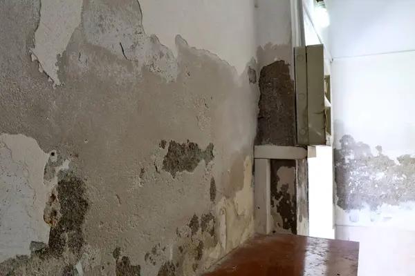 Get Professional Water Damage Restoration for Your Home Today