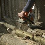 Safe Sindt Tree Service tree removal service for Any Property Size