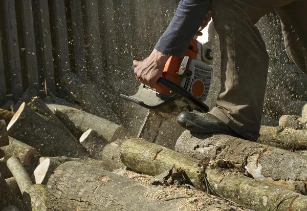 Safe Sindt Tree Service tree removal service for Any Property Size