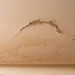 Top Rated Professional Water Damage Restoration Services for Property Restoration