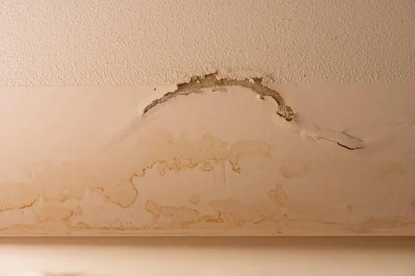 Top Rated Professional Water Damage Restoration Services for Property Restoration