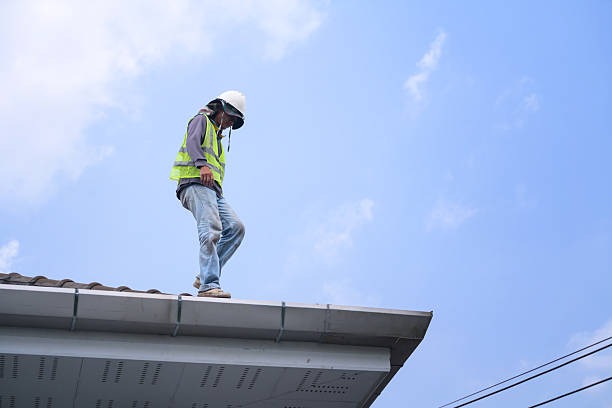 Hire Three Tree Roofing Roofing Contractor Seattle for Expert Roof Replacement