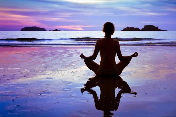 Natural Immune Support for Everyday Wellness