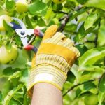 Outdoor Property Services for Beautiful and Well Maintained Spaces