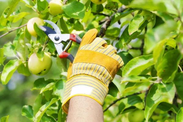 Outdoor Property Services for Beautiful and Well Maintained Spaces