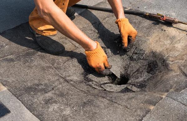 Explore Roof Repair Options Before Small Issues Become Bigger